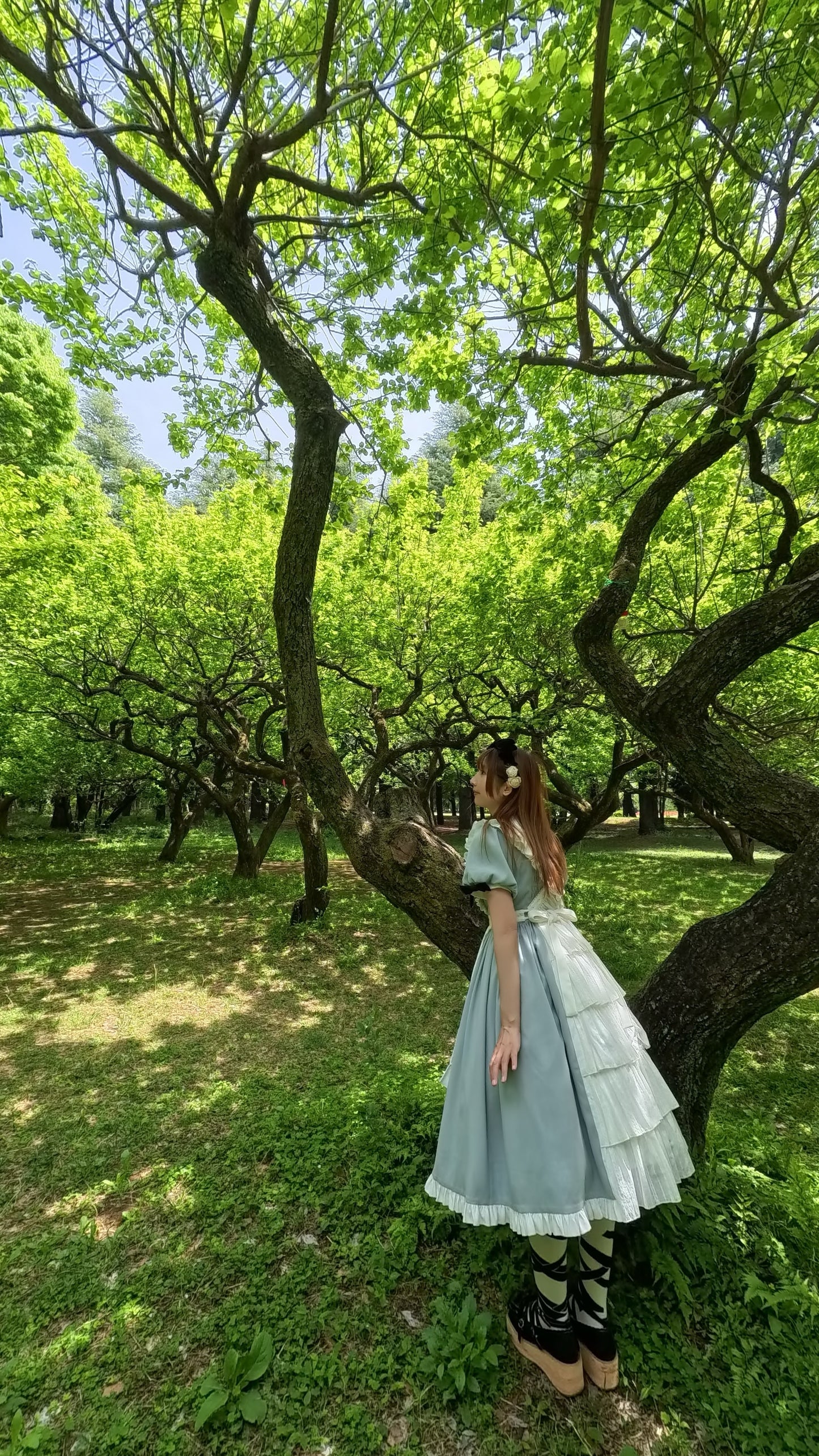 不思議の国のアリス ワンピースセット(ロング丈)【時織魔女×Epetice】