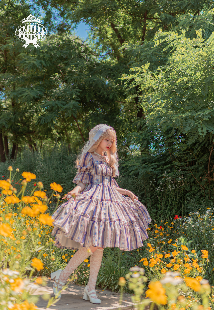 Nostalgia Rose Dress [Baroque]