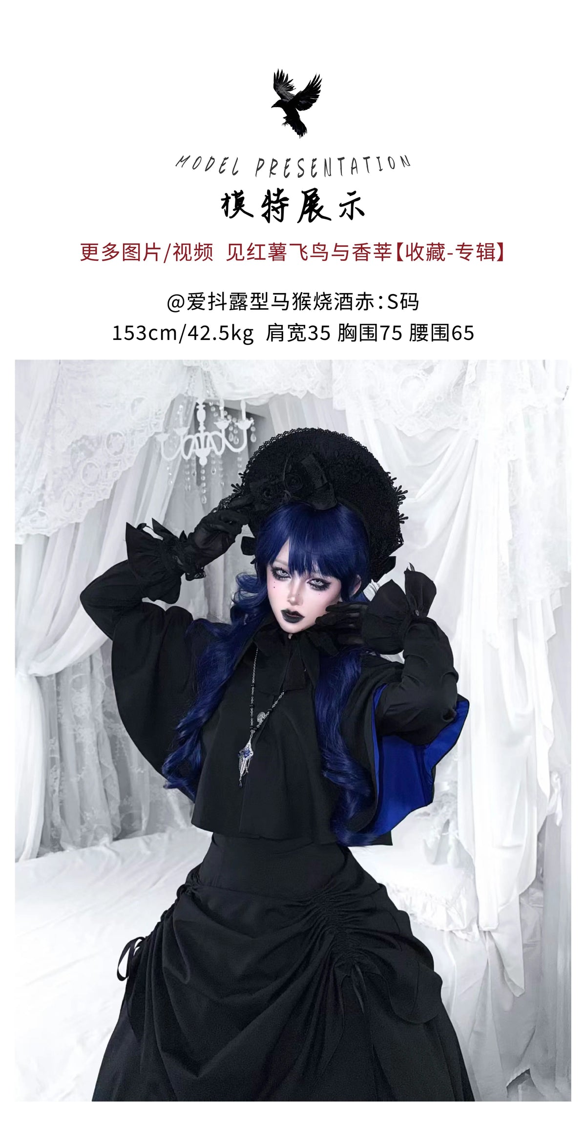 【受注予約~9/30】灰雁 3.0 ケープ【Birds Spice】