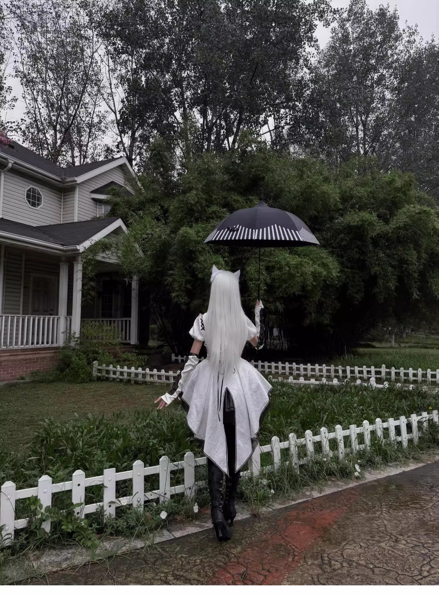 【受注予約~10/13】Creed of Silence フルセット【小欣】