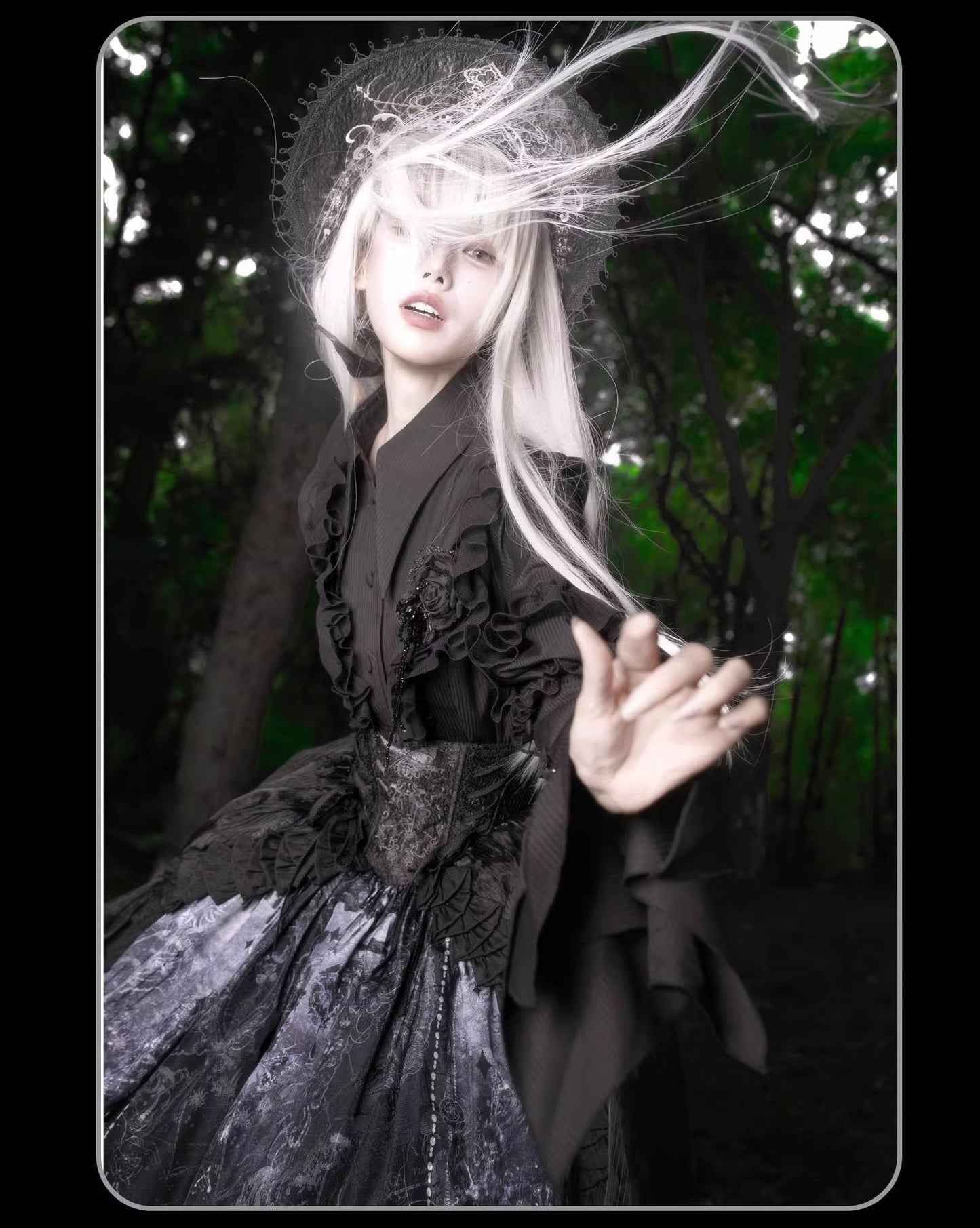 【受注予約~11/20】Butterfly Bone フルセット【SUSIN】