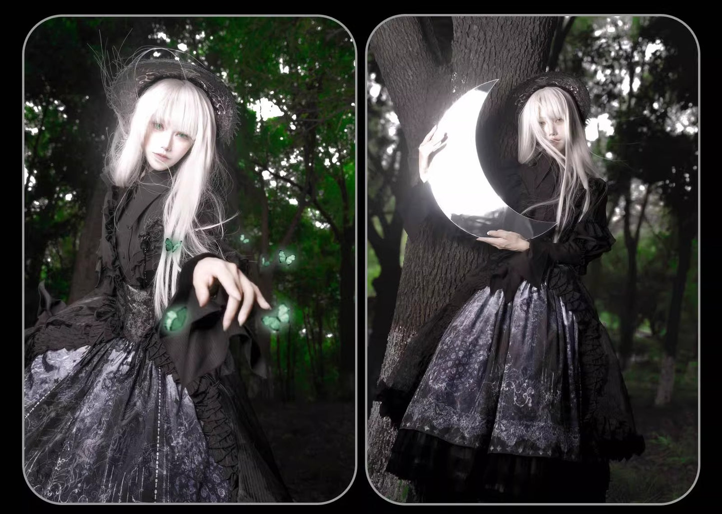 【受注予約~11/20】Butterfly Bone フルセット【SUSIN】