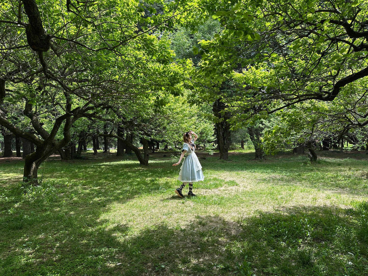 不思議の国のアリス ワンピースセット(ロング丈)【時織魔女×Epetice】